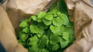 Le Lièvre Gourmand