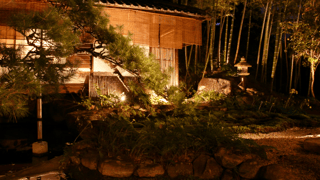 Oryori Hanagaki