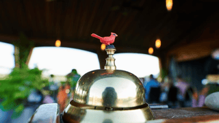 Restaurant Pearl Morissette