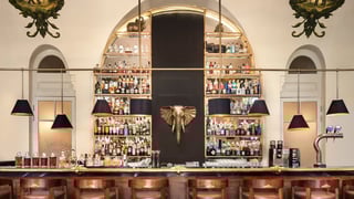 Elephant Bar